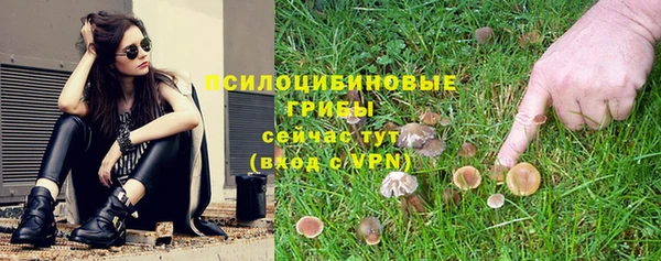 гидра Абинск