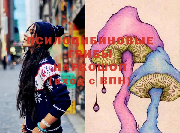 соль ск Осташков