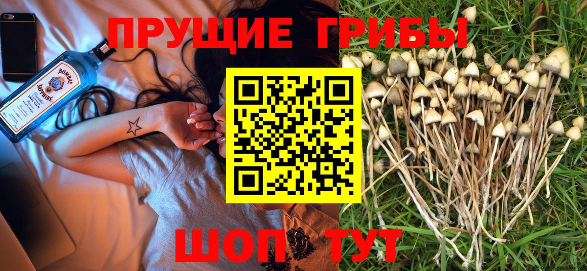 Галлюциногенные грибы мицелий  Вход с VPN  Прохладный  купить закладку  Галлюциногенные грибы ЛСД 