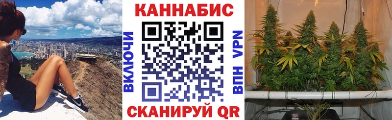 Шишки марихуана Amnesia даркнет формула Прохладный